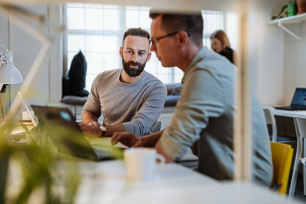 Programmierer, die zusammenarbeiten und sich gegenseitig beim Programmieren unterstützen.