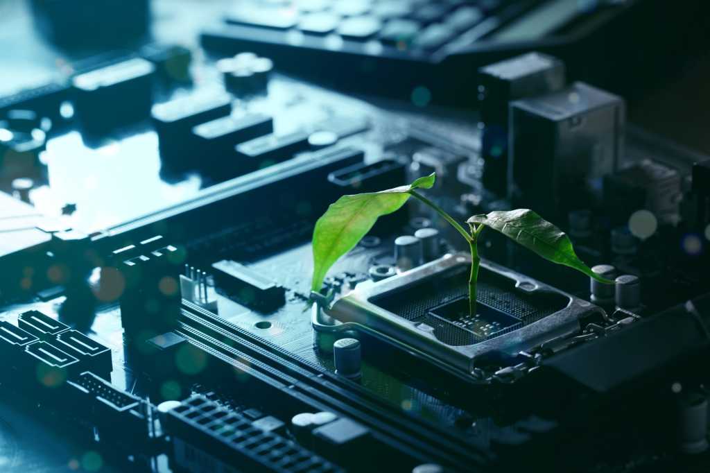 leaf on circuit board