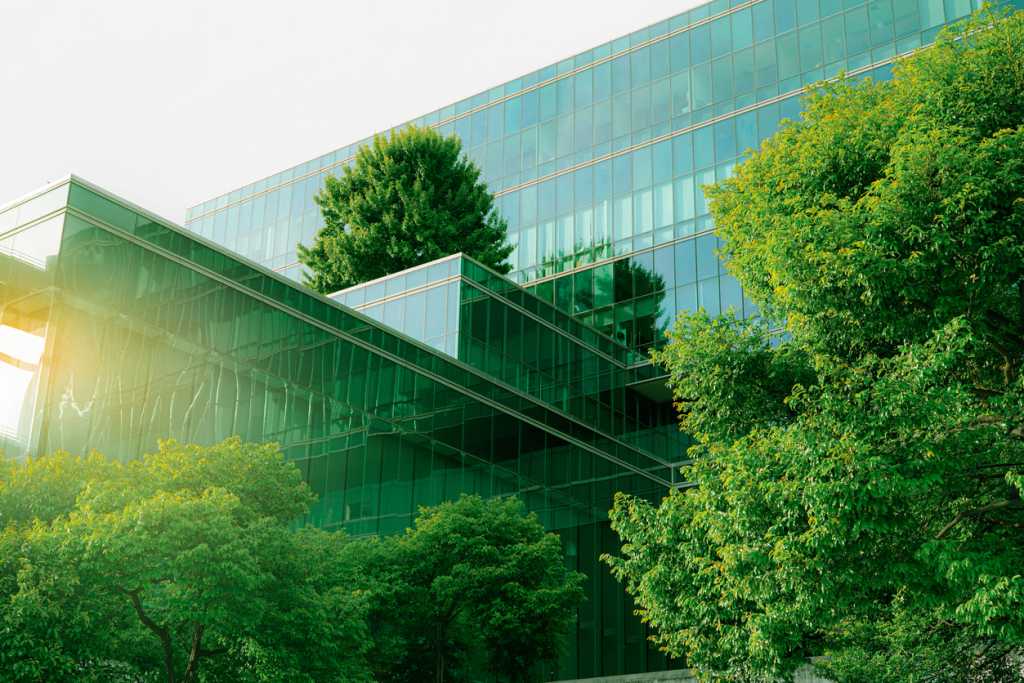 building exterior trees