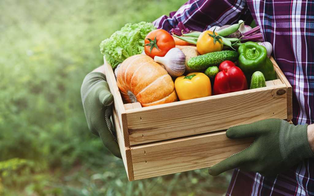 farmer with produce