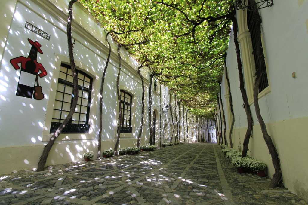 Bodegas González Byass