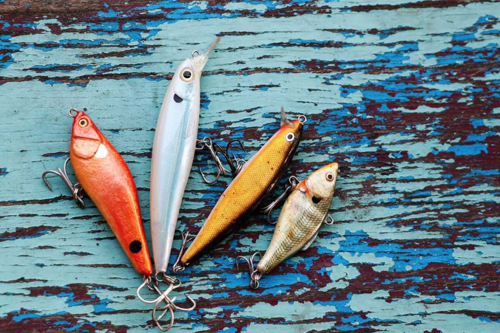 poaching talent fishing lures bait catch recruit