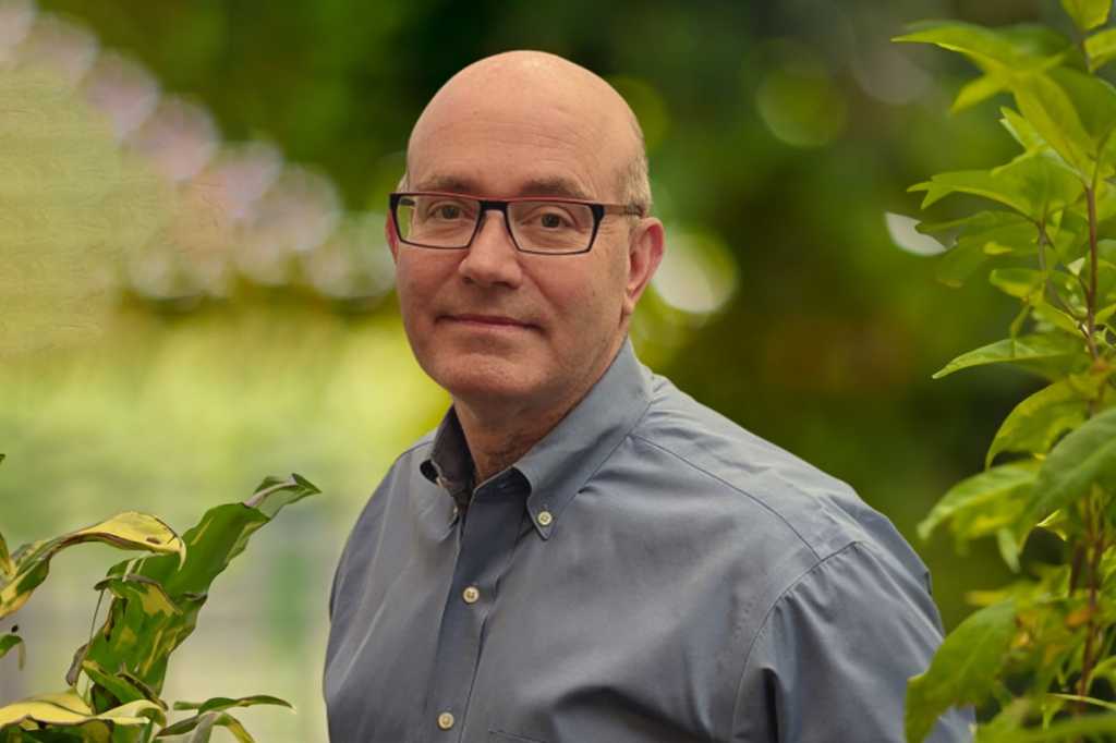 Daniel Saroff, vicepresidente del grupo de Consultoría e Investigación en IDC