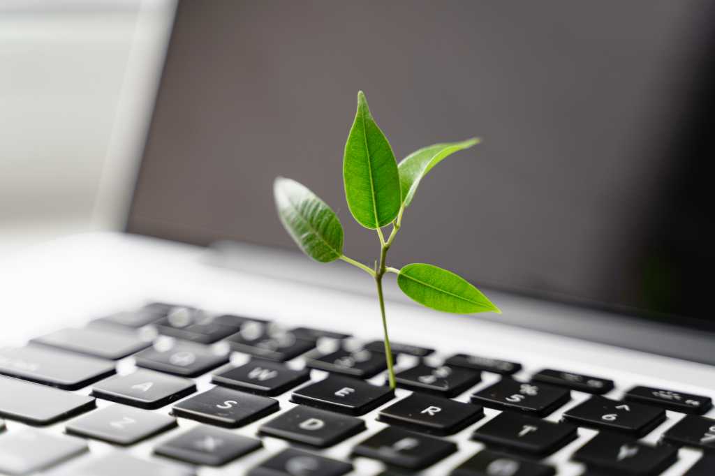 Laptop keyboard with plant growing on it