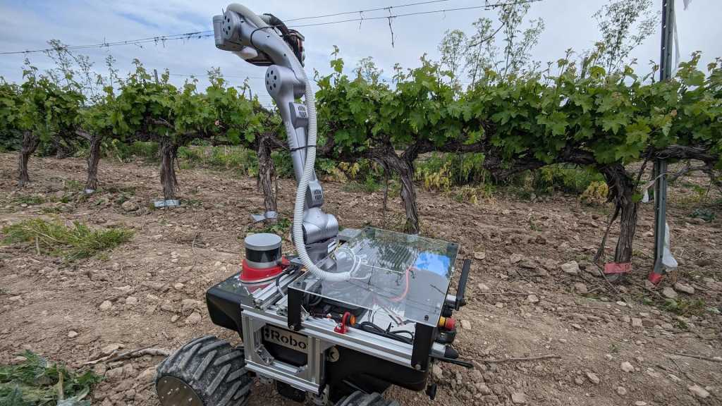 Robot empleado para monitorizar el cultivo en el viñedo.