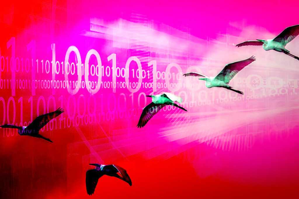 Conceptual image: The migration of birds in flight with an abstract binary overlay.