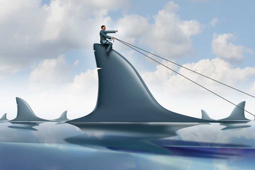 shark risk dominate navigate lead danger