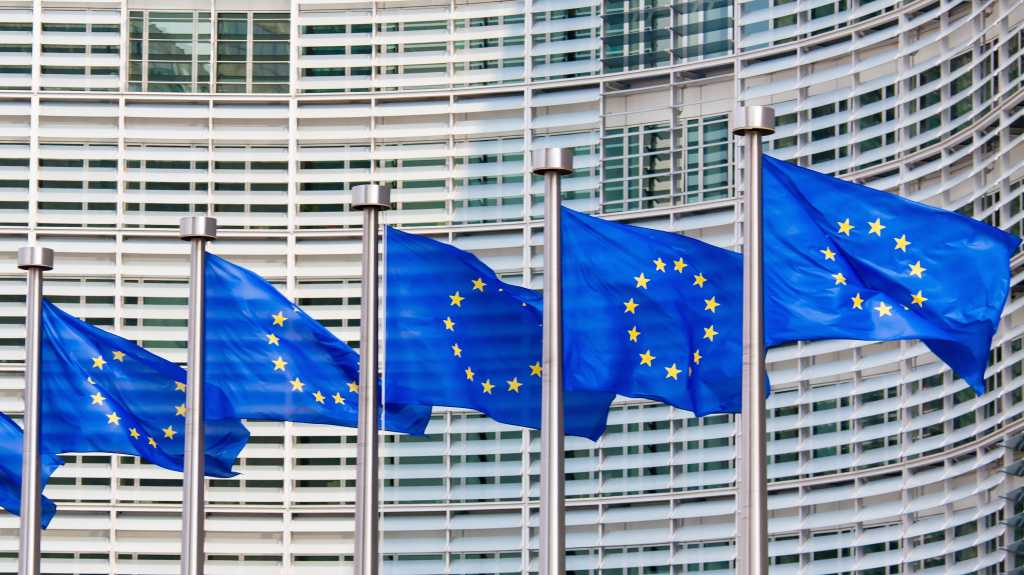 EU flags