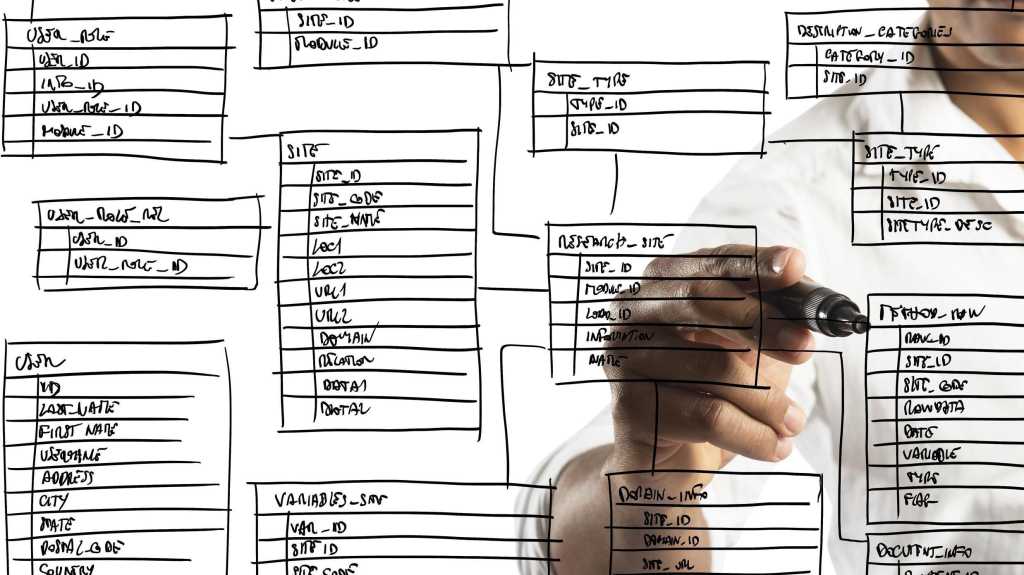 Programmer designs and organizes a new database